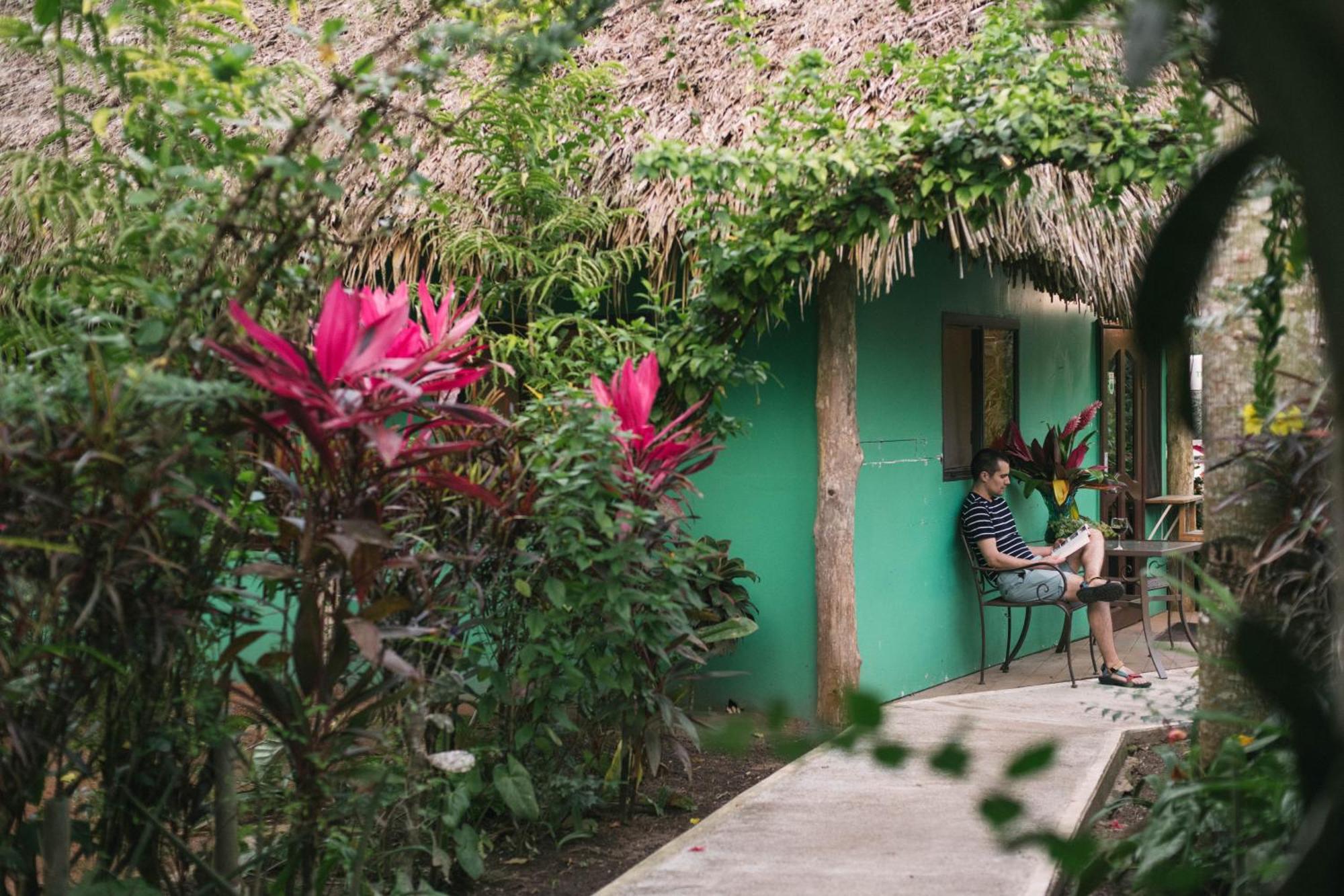 Bocawina Rainforest Resort ホプキンズ エクステリア 写真